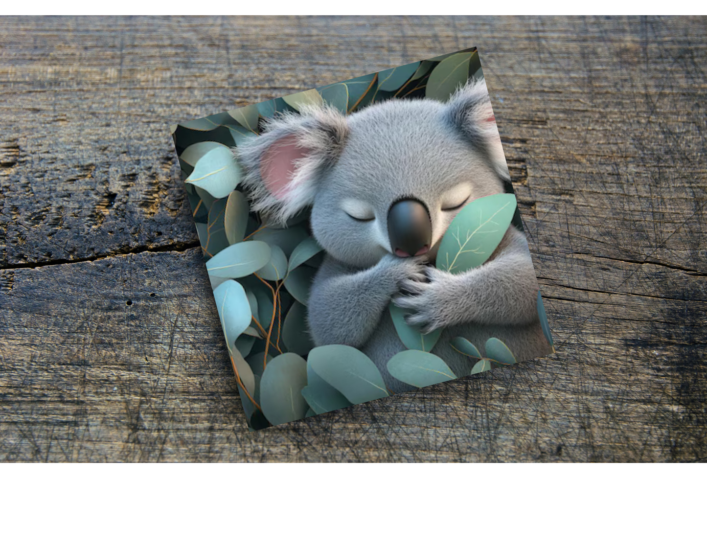 Koala Home Coasters