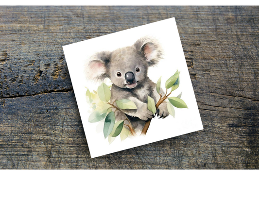 Koala Home Coasters